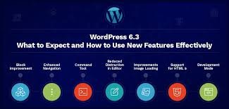 wordpress